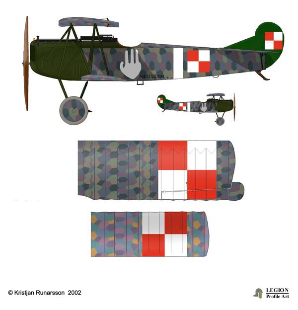 fokker_dvii_polish_crippled_hand