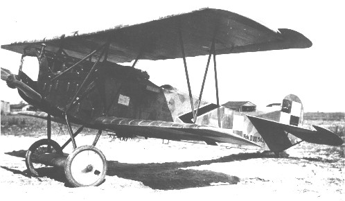Polish D.VII ‘502/18’ with bomb racks. (picture:Tomasz Kopanski Collection)