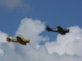 Harvards