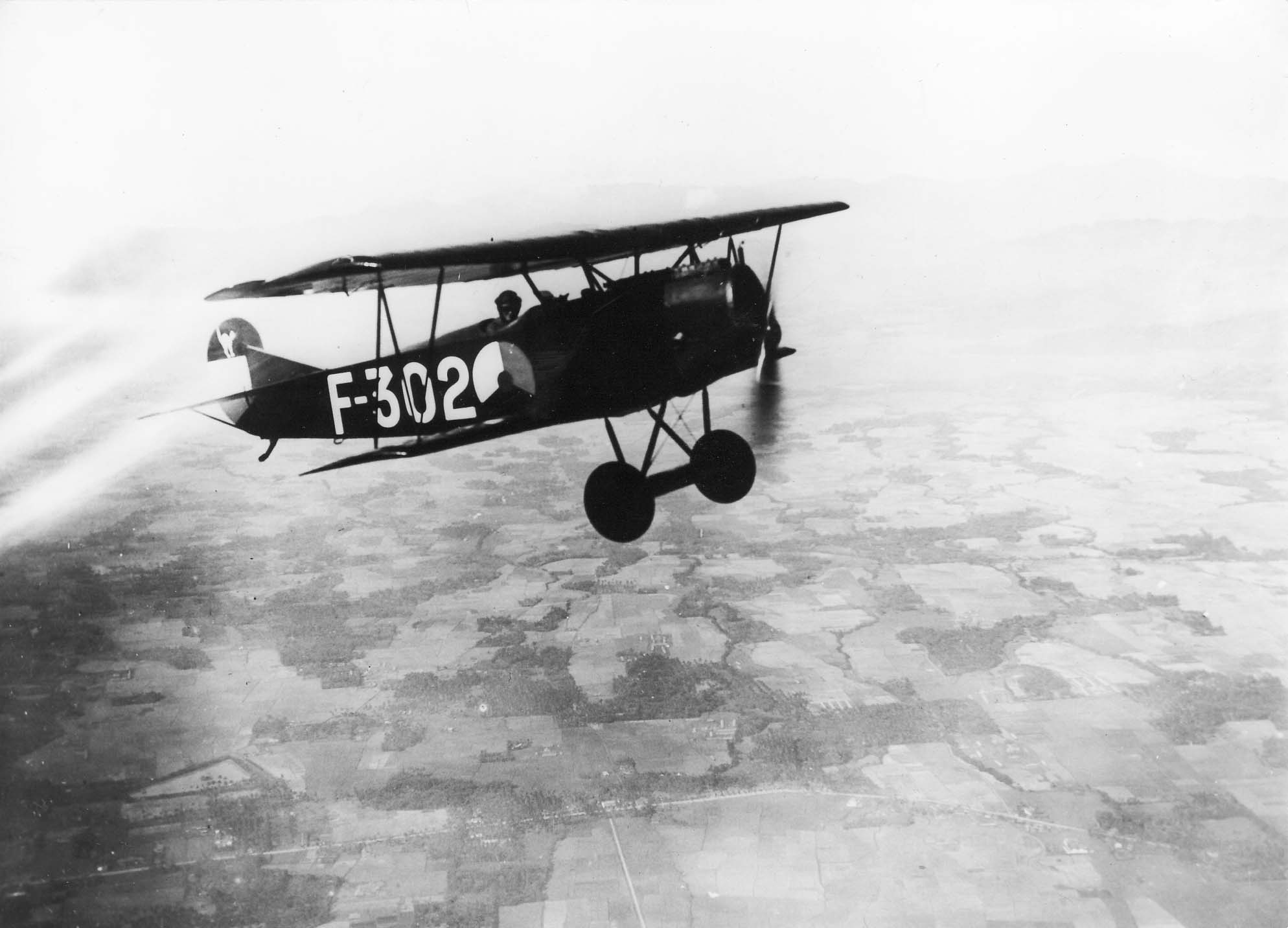 LA-KNIL Fokker D.VII F-302 over the Dutch East Indies countryside