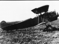 Unregistered Puma engine Fokker D.VII for the LA-KNIL