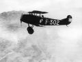 LA-KNIL Fokker D.VII F-302 over the Dutch East Indies countryside